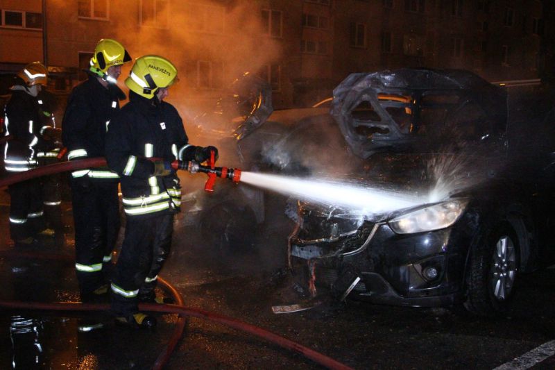 Prienų rajone supleškėjo automobilis, ugniagesiai išgelbėjo greta buvusius pastatus