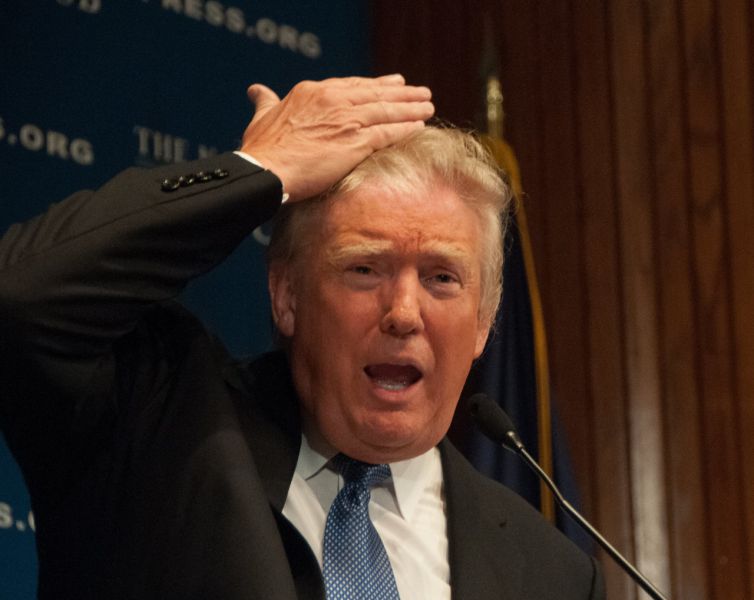 „Toks scenarijus vertas serialo“: atskleidė, ar D.Trumpas galėtų būti prezidentu tris kartus