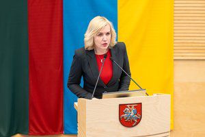 Drama artėja prie pabaigos: D. Žebelienė sulaukė klausimo apie vos akimirką trukusią karjerą LSDP