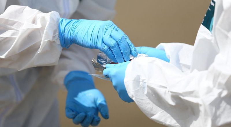 Ataskaita: didėja rizika, kad paukščių gripas taps perduodamas žmogaus žmogui
