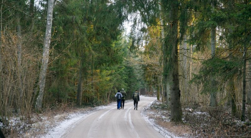 Pamatę, koks paukštis tupi Lietuvos miškuose, kaip reikiant nustebo: parodė visiems