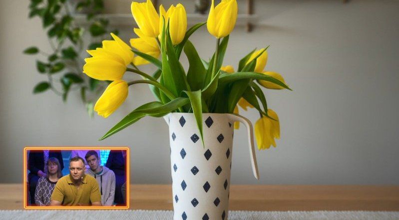 Tulpės žydės ilgiau atlikus šį veiksmą – atgaivins netgi pavytusias gėles