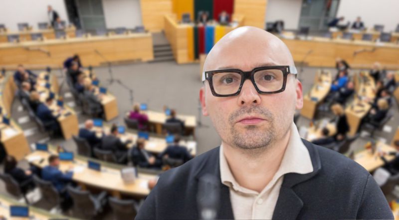 Matas Maldeikis apie „naudingus kvailius“ Seime: aš juos matau