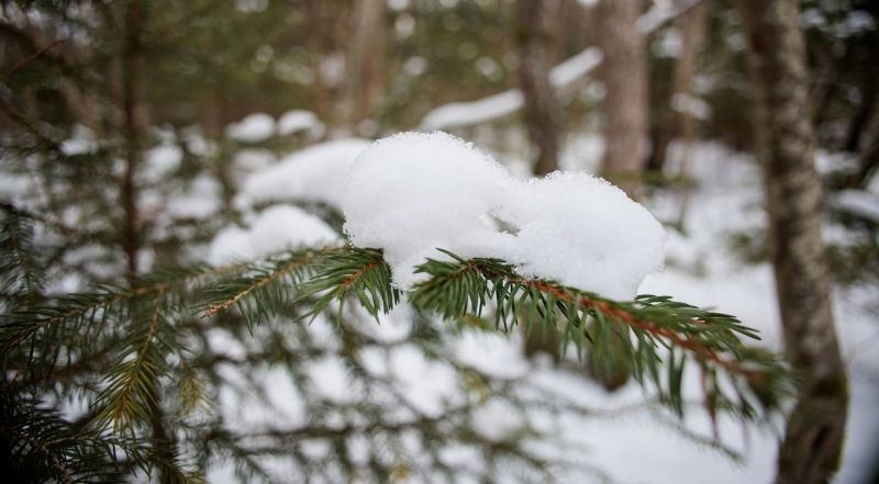 „Greito atšilimo nesitikėkite“: meteorologas įspėja dėl artimiausių dienų orų