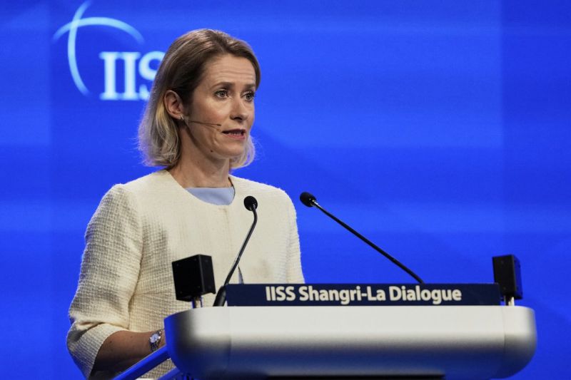 Kaja Kallas: Donaldo Trumpo „sunki meilė“ dėl gynybos geriau nei jokios meilės