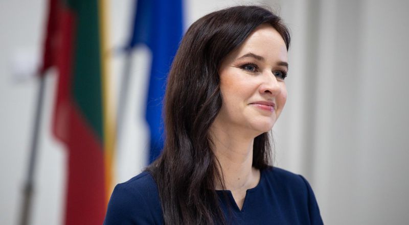 Ruginienė: Trišalė taryba MMA klausimą pradės nagrinėti jau balandžio pabaigoje