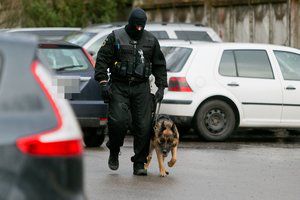 Radinys prie šiukšliadėžių Švenčionių rajone sukėlė nerimo – teko kviesti „Aro“ pareigūnus