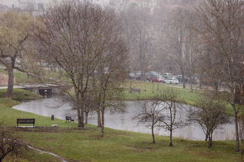 Ilgalaikė balandžio orų prognozė: nuo šalta iki šilčiau nei įprastai